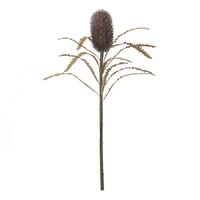 Rogue Deco Banksia Cone Stem 61cm - Dark Brown