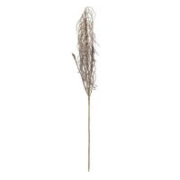 Rogue Field Grass Stem 82cm - Brown