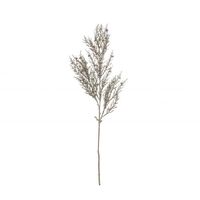 Rogue Tea Tree Spray 18x10x60cm - Brown