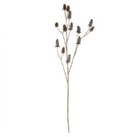 Rogue Thistle Spray 97cm - Autumn