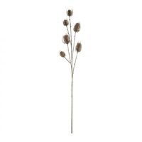 Rogue Dried Look Eryngium 76cm - Brown
