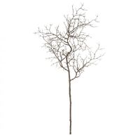 Rogue Willow Twig Branch 61cm - Light Brown