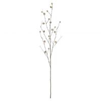 Rogue Berry Pod Spray 108cm - Natural