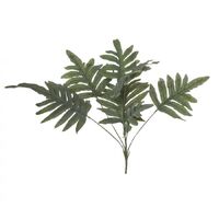 Rogue Rabbit Foot Fern Plant 69cm - Green/Grey