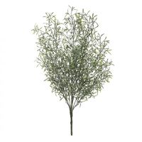 Rogue Dusty Sprineri Bush 50cm - Green