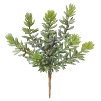 Rogue Foxtail Stem 