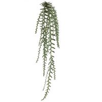 Rogue Cactus Hanging Fern 129cm - Green