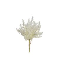 Rogue Astilbe Bunch 33cm - Cream