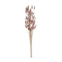 Rogue Preserved Bunny Tails 50cm - Dusty Pink