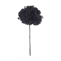 Rogue Preserved Anna Hydrangea - Black