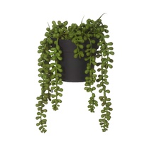 73.535.12 STRING OF PEARLS-GARDEN POT