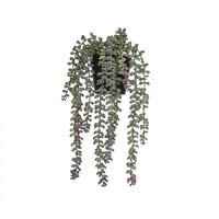 Rogue Hanging Pearls Garden Pot - Burgundy/ Black