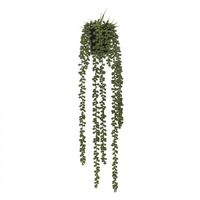 Rogue Hanging Pearl in Pot 60cm