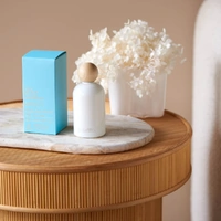 Urban Rituelle Apotheca Room and Linen Mist 100ml - Crisp Sea Mist, Juniper, Amberwood