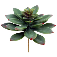 NF Living Mini Succulent 11.5cm