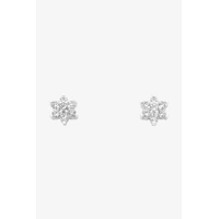 Liberte Petal Earrings - Silver