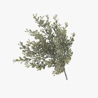 Floral Interiors Boxwood Berry Bush 28cm