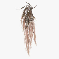 Floral Interiors Plume Grass Hanging Bush 83cm - Dusty Pink