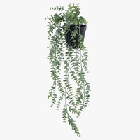 FI8342GY Eucalyptus Hanging Bush in Pot