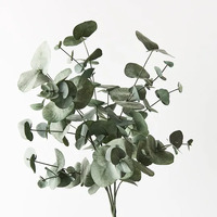 Floral Interiors Eucalyptus Silver Dollar Bush 55cm - Forest Green