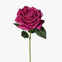 Floral Interiors Bella Rose - Burgundy