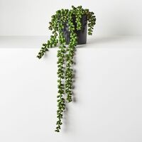 Floral Interiors String of Pearls in Pot 45cm- Green