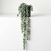 Floral Interiors String of Pearls in Pot 45cm-Grey Green