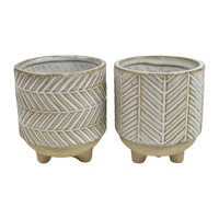 Life Botanic Dafi Ceramic Planter 2 Assorts