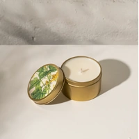 Inartisan Soy Candle in Travel Tin - Cucumber, Mint + Ginger