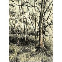 Nuovo Native Australian Bush Card