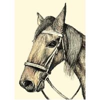Nuovo Horse Illustration Card