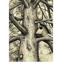 Nuovo A sketch of a Tree holding a Bird House Card