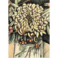 Nuovo Native Australian Floral Card