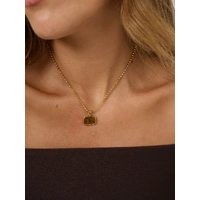 Lustre & Sage Voyager Tiger Eye Necklace - Gold