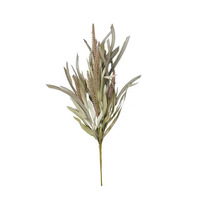 Life Botanic Tall Grass Stem 58cm - Natural