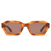 Sito Kinetic Sunglasses - Amber Tort/Coffee