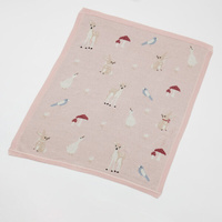 Jiggle & Giggle Enchanted Knitted Baby Blanket