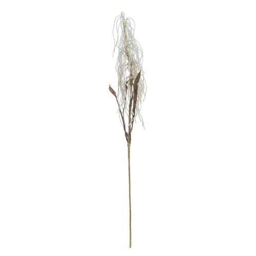 Rogue Field Grass Stem 82cm - Cream