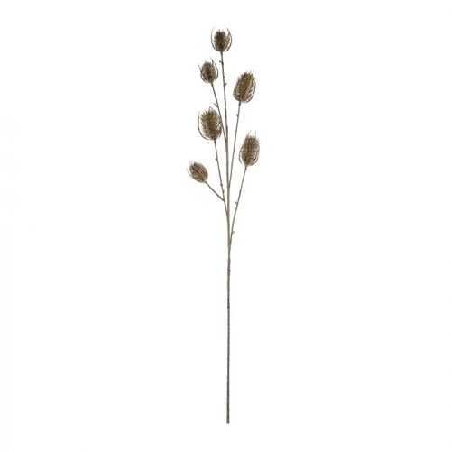Rogue Dried Look Eryngium 76cm - Brown