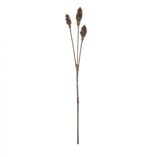 Rogue Inca Nut Spray 20x10x72cm - Brown