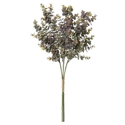 Rogue Eucalyptus Bundle 64cm - Burgundy