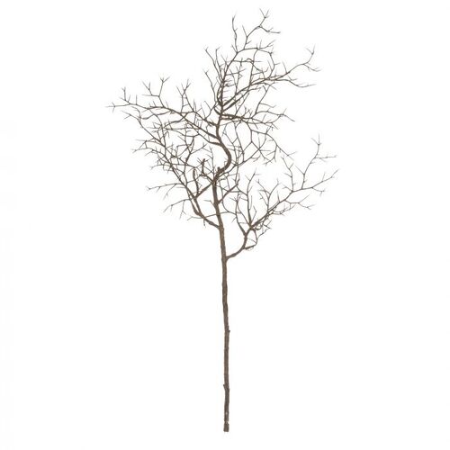Rogue Willow Twig Branch 61cm - Light Brown