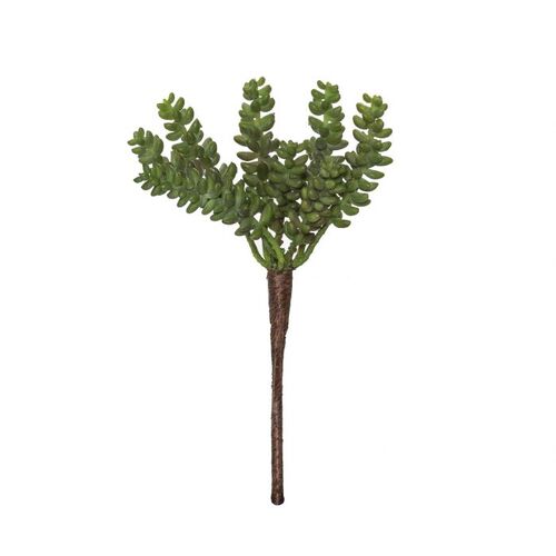 Rogue Sandflower 22cm - Green