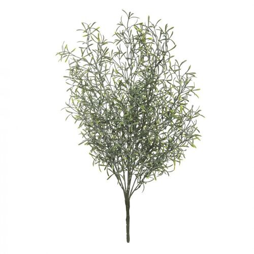 Rogue Dusty Sprineri Bush 50cm - Green