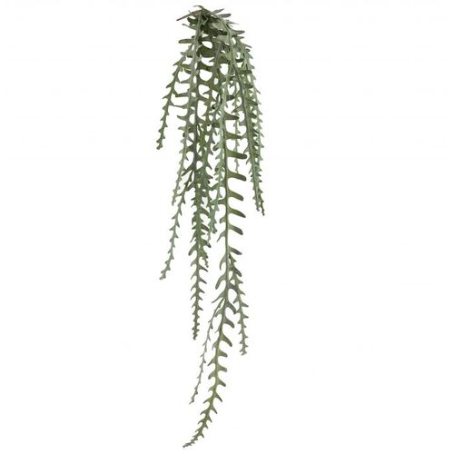 Rogue Cactus Hanging Fern 129cm - Green