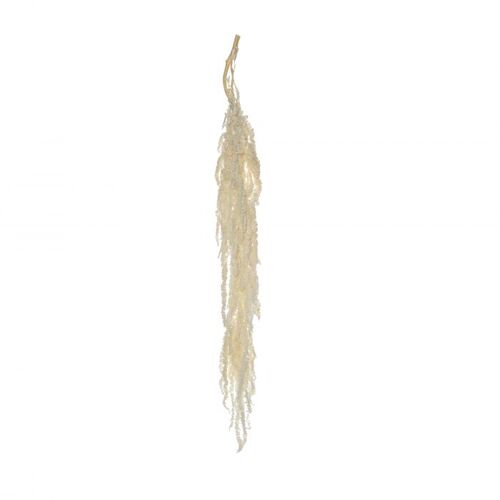 Rogue Preserved Amaranthus 50-70cm - White