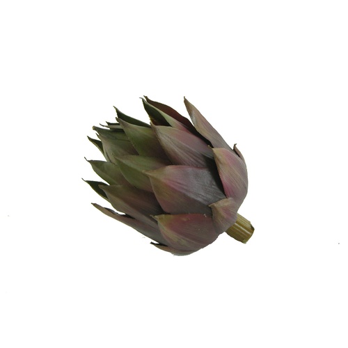 Artichoke Head
