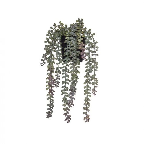Rogue Hanging Pearls Garden Pot - Burgundy/ Black
