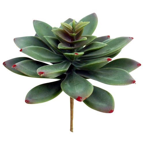 NF Living Mini Succulent 11.5cm