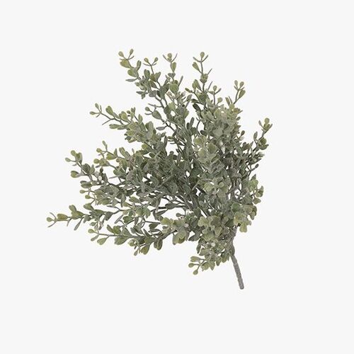 Floral Interiors Boxwood Berry Bush 28cm